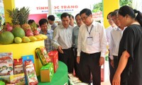 Evalúa producción agrícola en la primera mitad del año en Soc Trang 