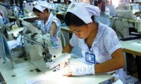 Evalúan impactos de Acuerdo de Asociación Económica Integral Regional para Vietnam