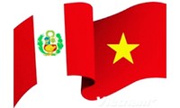 Comercio, sector de cooperación potencial entre Vietnam y Perú
