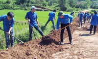 Jóvenes vietnamitas unen manos para modernizar campo 