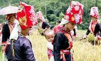 Fiesta de “Privación del viento” de los nativos de Binh Lieu