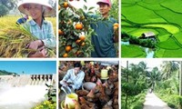 Agricultura de Vietnam garantiza la seguridad alimentaria, cambiando aspecto campestre 