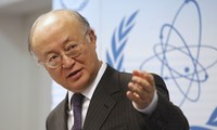 Director general de AIEA llega a Irán para tratar sobre tema nuclear 