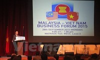 Empresas de Malasia buscan oportunidades de negocios en Vietnam 