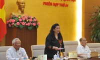 Vietnam respeta la libertad de reunión y asociación
