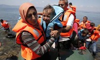 Llama ONU compartir el lastre de reasentamiento para refugiados en Europa
