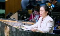 Vietnam llama a la ONU a continuar con sus reformas