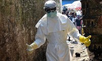 OMS: No se detecta más casos del ébola en la última semana en África occidental