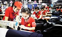 Sector privado, fuerza impulsora para el desarrollo de Vietnam  