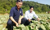 FAO aprecia logros de Vietnam en reducción de pobreza 