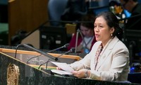 Vietnam ratifica su voluntad de cooperar con la ONU para cumplir la ley en ámbito nacional y mundial