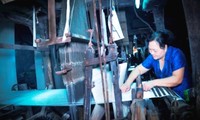 Nguyen Thi Tam, artesana busca enaltecer reputación de seda Ha Dong en el mundo
