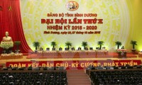 Inaugurado X Congreso Partidista de Binh Duong