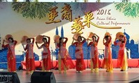 Vietnam en programa de intercambio cultural “El color artístico de Asia 2015”