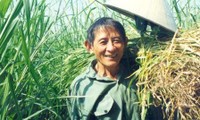  Héroe del Trabajo Ho Giao, un granjero excepcional