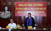 Vicepresidenta parlamentaria exhorta a promover los valores étnicos de Thai Nguyen