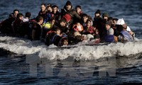 Crisis migratoria en reunión urgente de la Unión Europea 