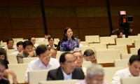Votantes vietnamitas aplauden plan de desarrollo socioeconómico aprobado por el Parlamento