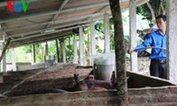 Una mejora dramática en la nueva comuna rural Muong Hung