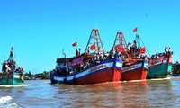 Economía marítima trae prosperidad a Ganh Hao