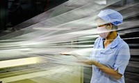 Sector textil vietnamita por superar a desafíos al participar en el TPP 