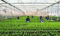 Tecnología agrícola punta del desarrollo sostenible en la Altiplanicie 