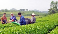 Vietnam evalúa 5 años del desarrollo de la Asociación Nacional de Agricultores