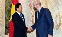 Vietnam y Bélgica fortalecen relaciones 