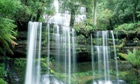 Belleza salvaje de cascada Dai Yem en Moc Chau