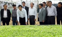 Presidente Truong Tan Sang valora altamente modelos agrícolas de alta tecnología en Lam Dong