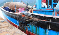 Asociación vietnamita de Pesca rechaza acto inhumano de China