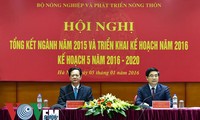Exhorta premier vietnamita a favorecer inversiones de empresas en la agricultura 
