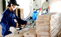 Refuerzan políticas de ayuda a pequeñas y medianas empresas vietnamitas en el período 2016-2020