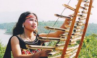 T’rưng, instrumento musical emblemático de Tay Nguyen