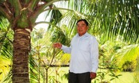 Do Hieu Liem, un agricultor sobresaliente en Tien Giang