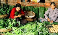 Costumbres de la celebración del Tet en diferentes regiones vietnamitas 