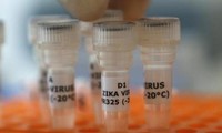 Europa forma grupo de expertos sobre el virus Zika