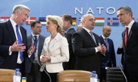 OTAN acuerda poner en marcha campaña naval contra el tráfico ilegal de refugiados 