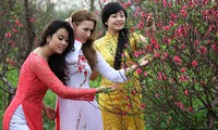 Identidad cultural en fiesta vietnamita del Tet 