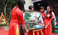 Inaugura Vietnam su primer centro de educación y preservación de animales carnívoros y pangolines