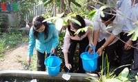 Lanzan campaña de exterminio de mosquitos en Ciudad Ho Chi Minh