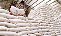 Establecer marca nacional del arroz para elevar su valor de exportación