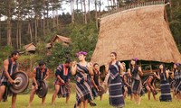 Promocionan la cultura original de las comunidades étnicas de Tay Nguyen