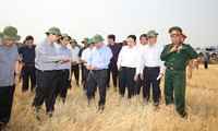 Orienta vicepremier vietnamita medidas para enfrentar sequía en Meseta Occidental