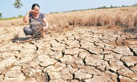 En el Delta del Mekong se esfuerzan por ahorrar agua