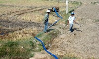 Comprometidas organizaciones internacionales en ayudar a Vietnam a superar la sequía y salinización