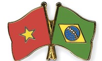Destacan operación eficiente de Asociación de Amistad y Cooperación Vietnam-Brasil