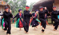 Festividad en honor de valores culturales de las etnias vietnamitas
