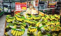 Japón aprecia altamente plátanos importados de Vietnam