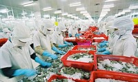 Vietnam logra mil 500 millones de dólares del valor de exportación